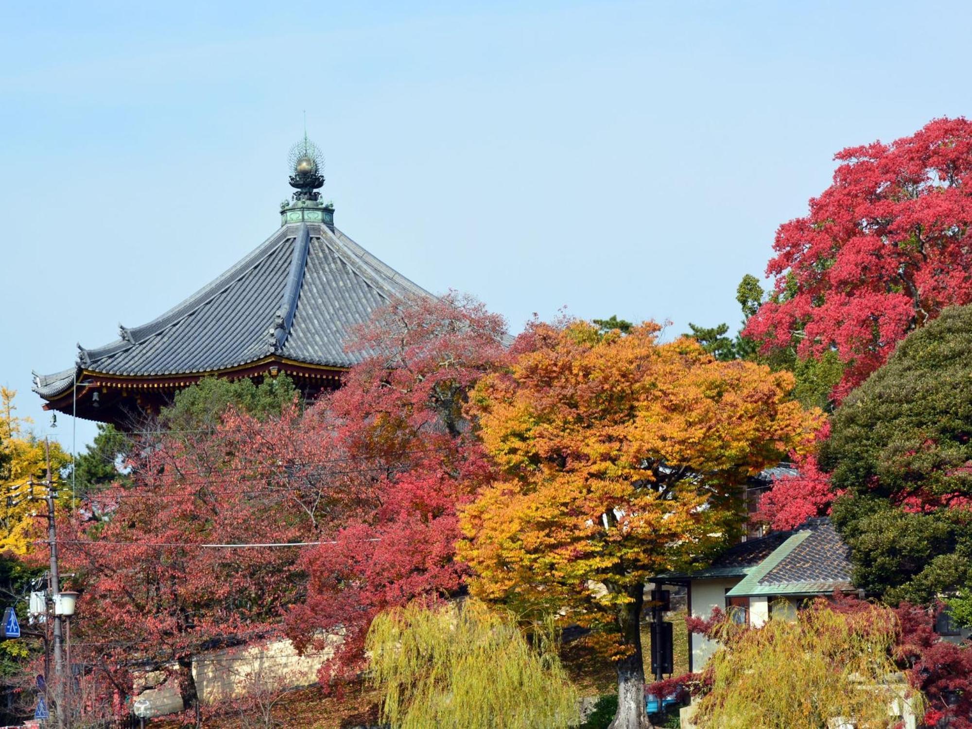 Nara - Hotel / Vacation STAY 47950 Esterno foto